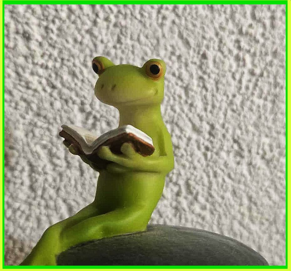 Ich bin Frogi Frosch. Ich lerne Deutsch.